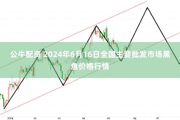 公牛配资 2024年6月16日全国主要批发市场黑鱼价格行情