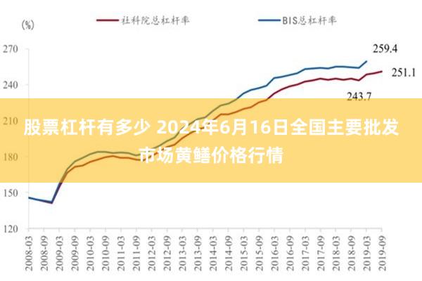 股票杠杆有多少 2024年6月16日全国主要批发市场黄鳝价格行情