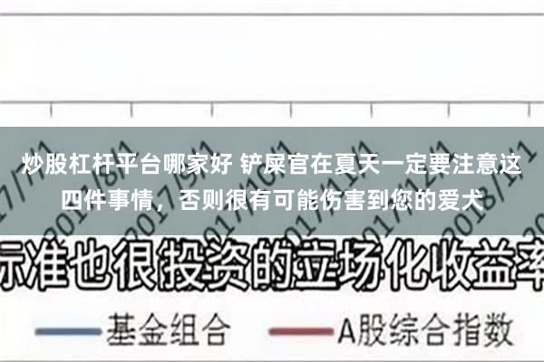 炒股杠杆平台哪家好 铲屎官在夏天一定要注意这四件事情，否则很有可能伤害到您的爱犬