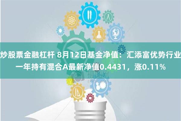 炒股票金融杠杆 8月12日基金净值：汇添富优势行业一年持有混合A最新净值0.4431，涨0.11%