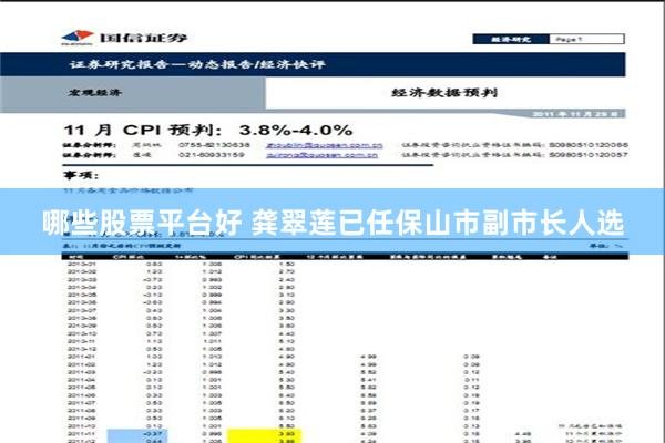 哪些股票平台好 龚翠莲已任保山市副市长人选