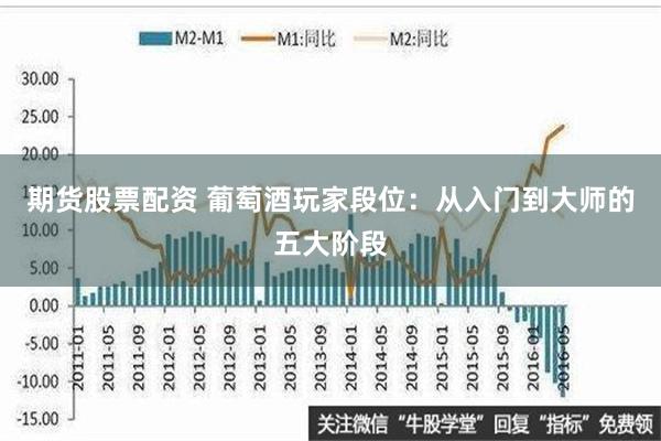 期货股票配资 葡萄酒玩家段位：从入门到大师的五大阶段