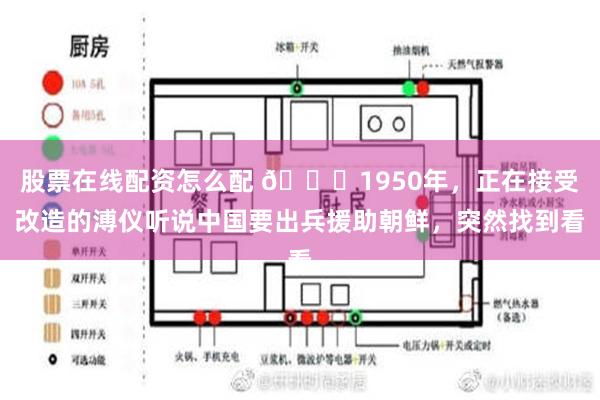 股票在线配资怎么配 🌞1950年，正在接受改造的溥仪听说中国要出兵援助朝鲜，突然找到看