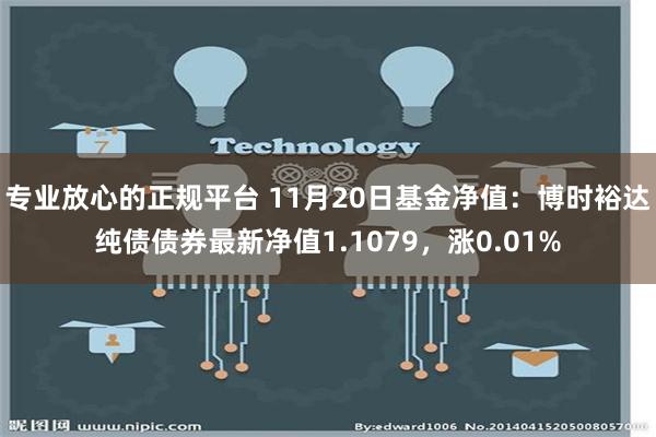 专业放心的正规平台 11月20日基金净值：博时裕达纯债债券最新净值1.1079，涨0.01%