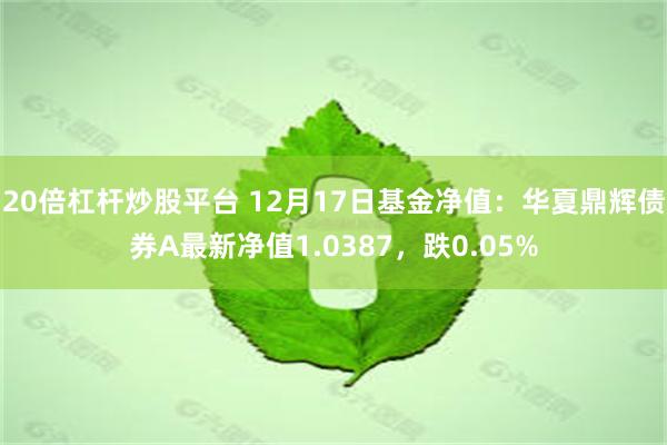 20倍杠杆炒股平台 12月17日基金净值：华夏鼎辉债券A最新净值1.0387，跌0.05%