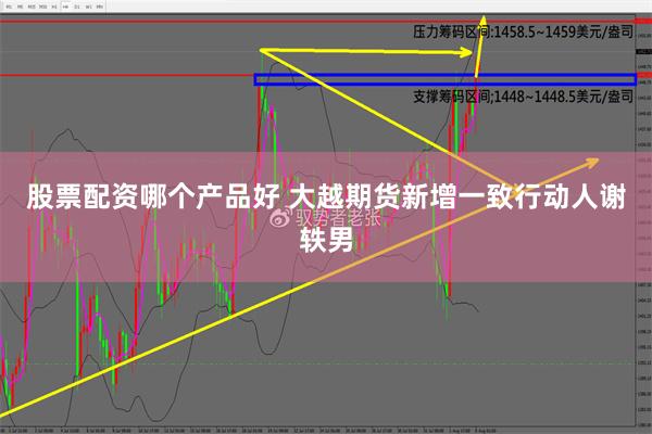 股票配资哪个产品好 大越期货新增一致行动人谢轶男