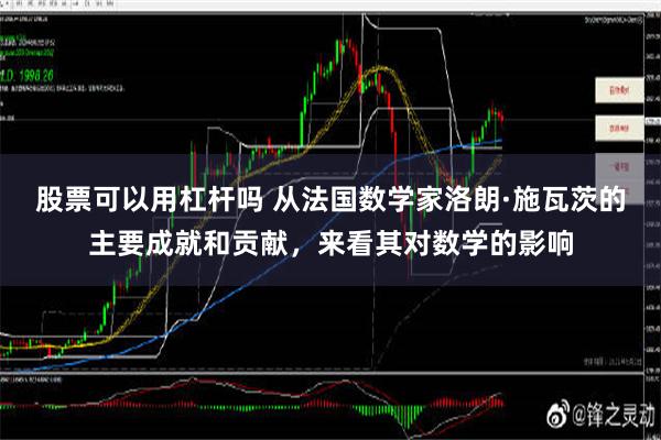 股票可以用杠杆吗 从法国数学家洛朗·施瓦茨的主要成就和贡献，来看其对数学的影响